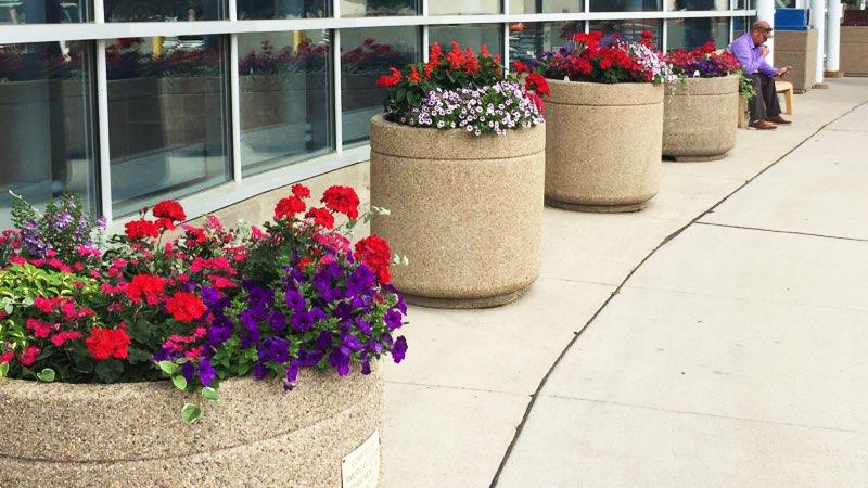 Concrete planters filled with flowers in front of a glass wall